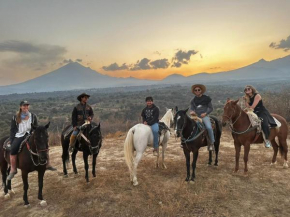 Vive en un rancho